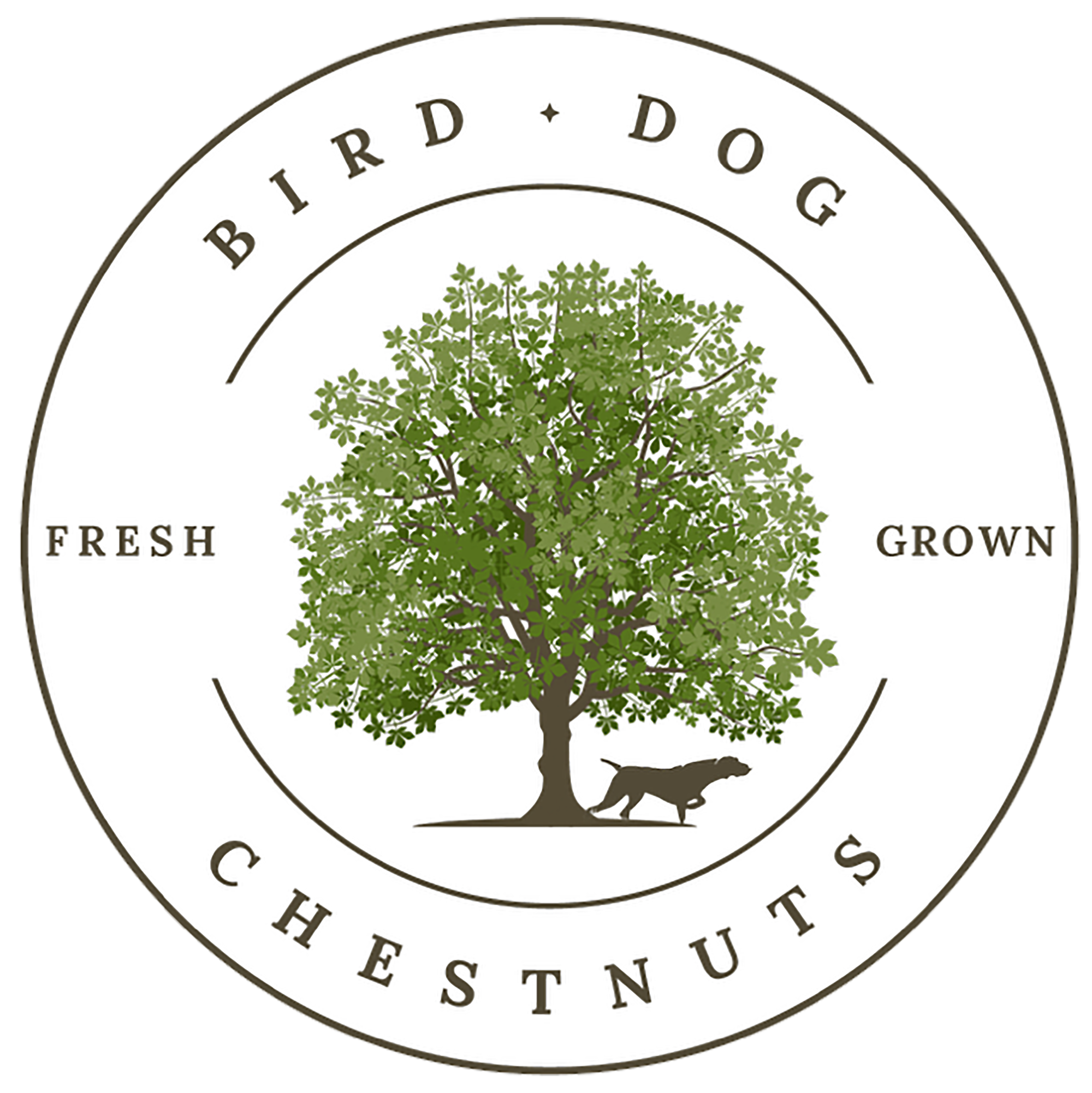 Bird Dog Chestnuts